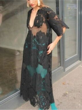 Mr. Larkin Black Lace Sheer Lola Maxi Dress with Deep V